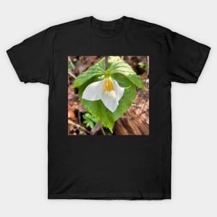 Wild White Trillium in the Forest Rain T-Shirt